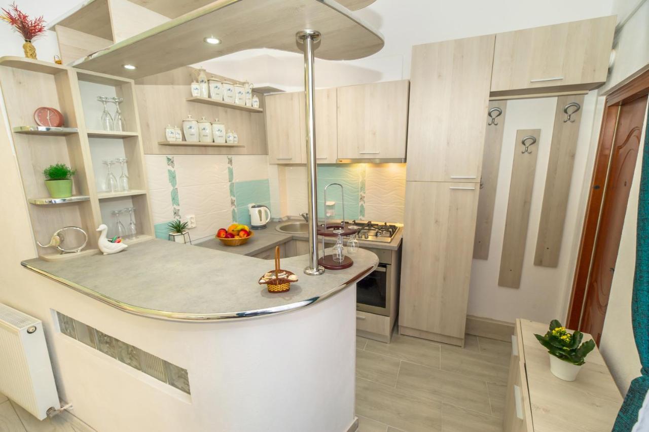 Eco Studio Brasov Ngoại thất bức ảnh