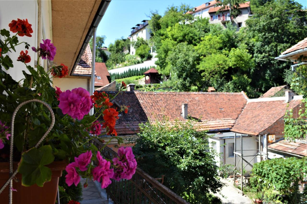 Eco Studio Brasov Ngoại thất bức ảnh