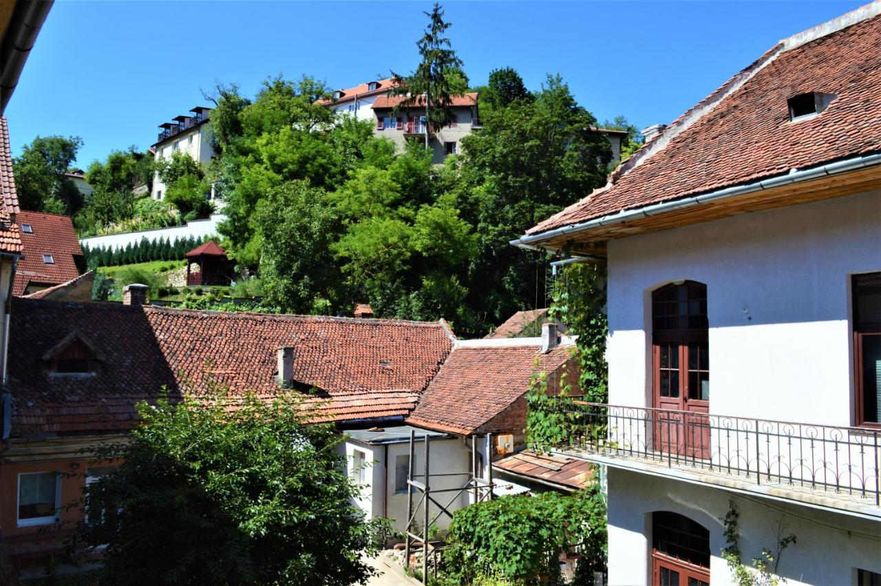 Eco Studio Brasov Ngoại thất bức ảnh